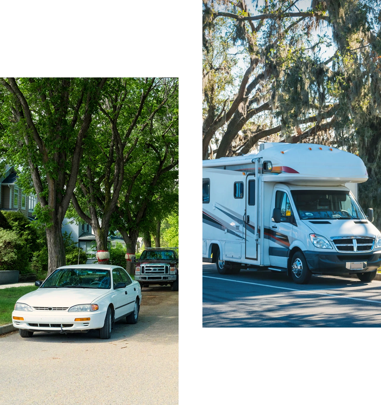 Tree-lined street with vehicles